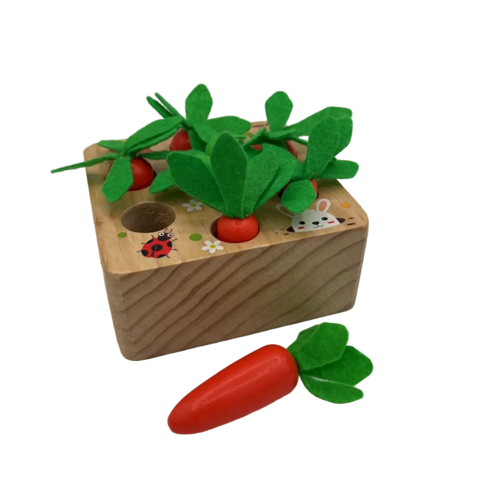 Wood Carrot Sorting Toy