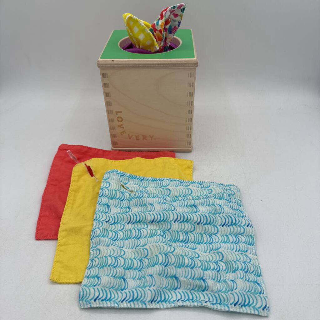 Pull Tissue Box Toy