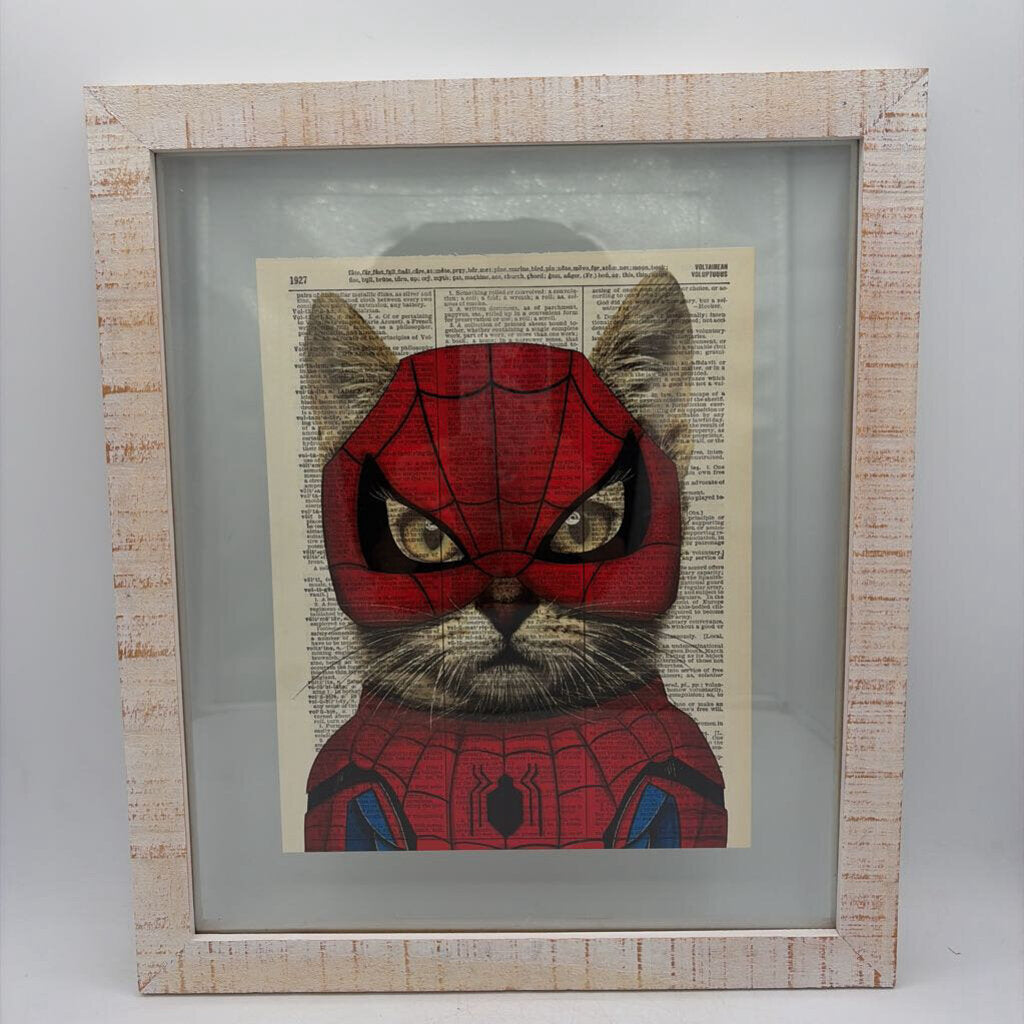 Framed Spiderman Cat Artwork