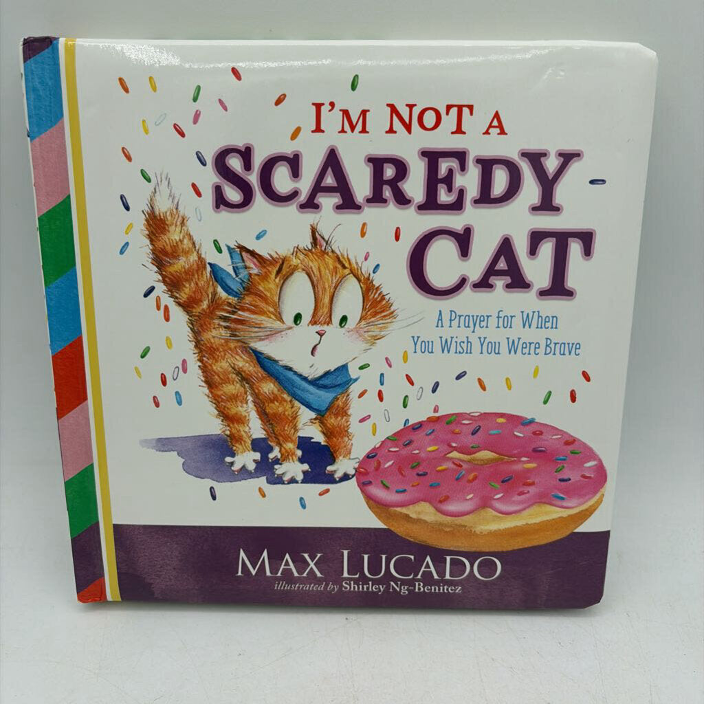 I'm not Scaredy Cat