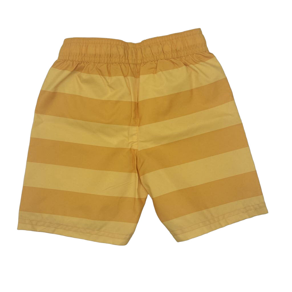 Swim Trunk / Stripes