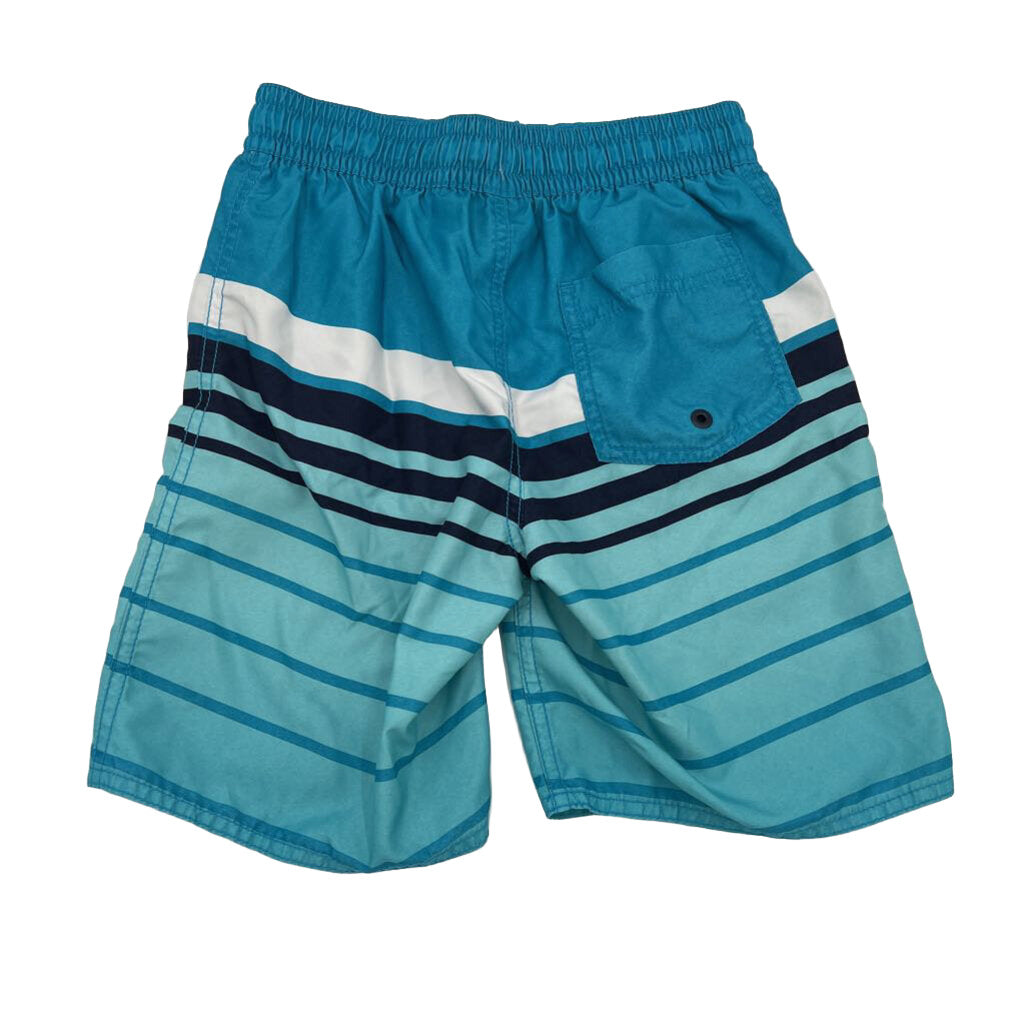 Swim Trunks / Striped