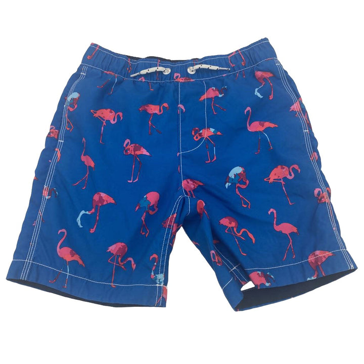 Swim Trunks / Flamingos