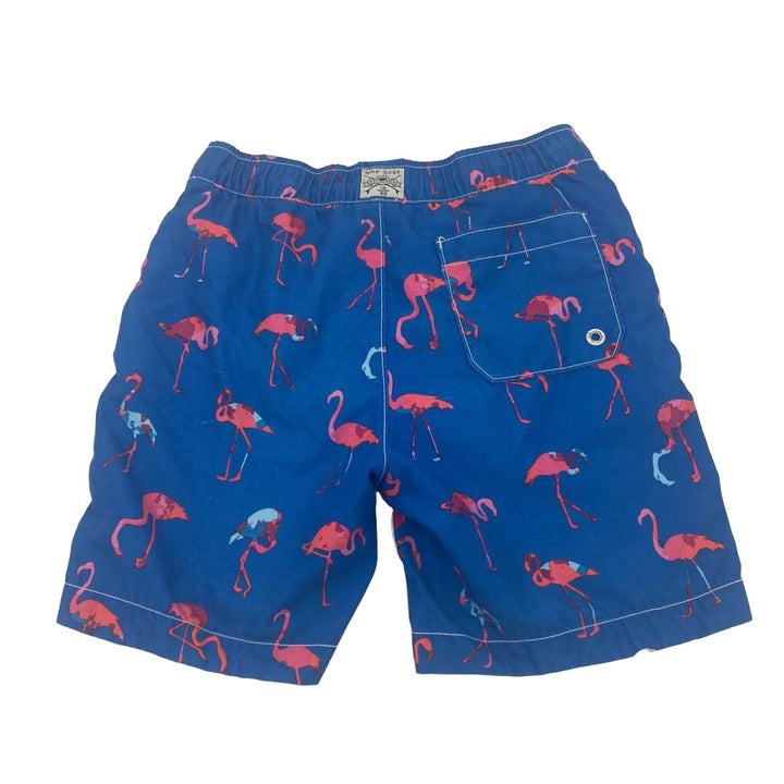 Swim Trunks / Flamingos