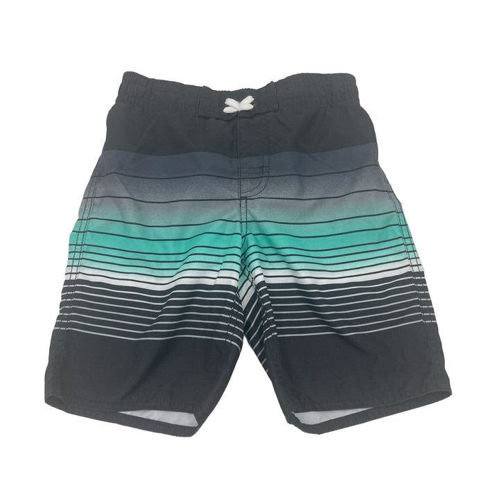 Swim Trunks / Striped