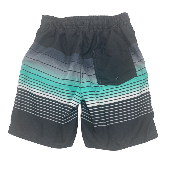 Swim Trunks / Striped