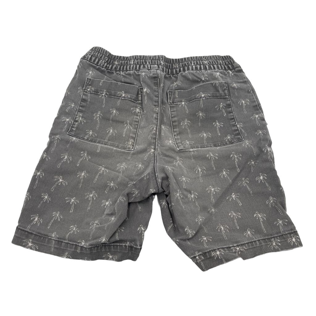 Elastic Waist Shorts / Palm Trees