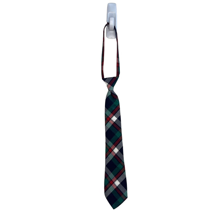 Checkered Winter Neck Tie