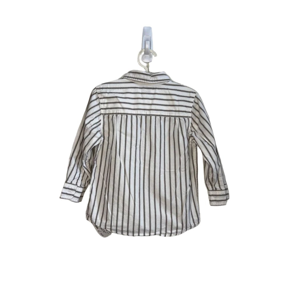 LS Collared Button Down / Striped