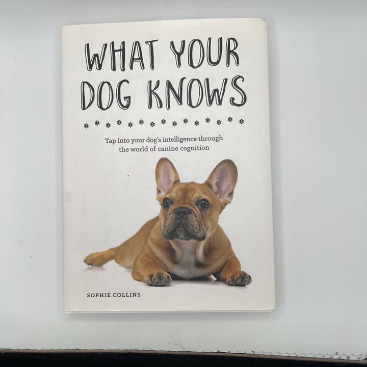 What Your Dog Knows