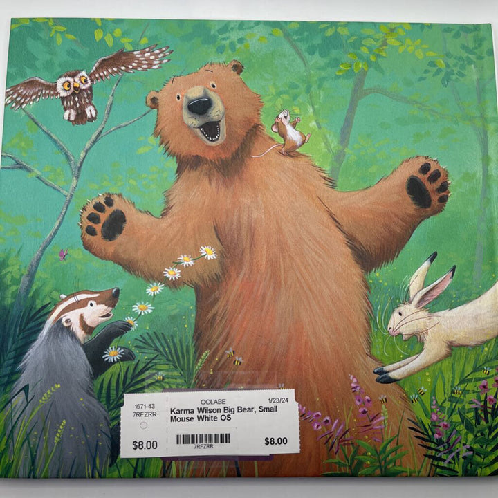 Big Bear, Small Mouse