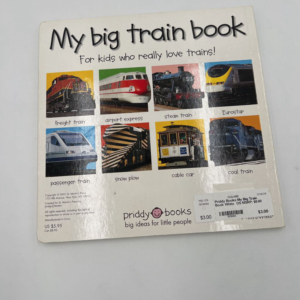 My Big Train Book